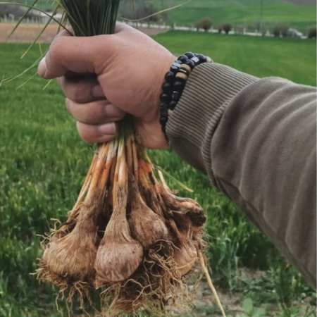 Ürün Resmi 3